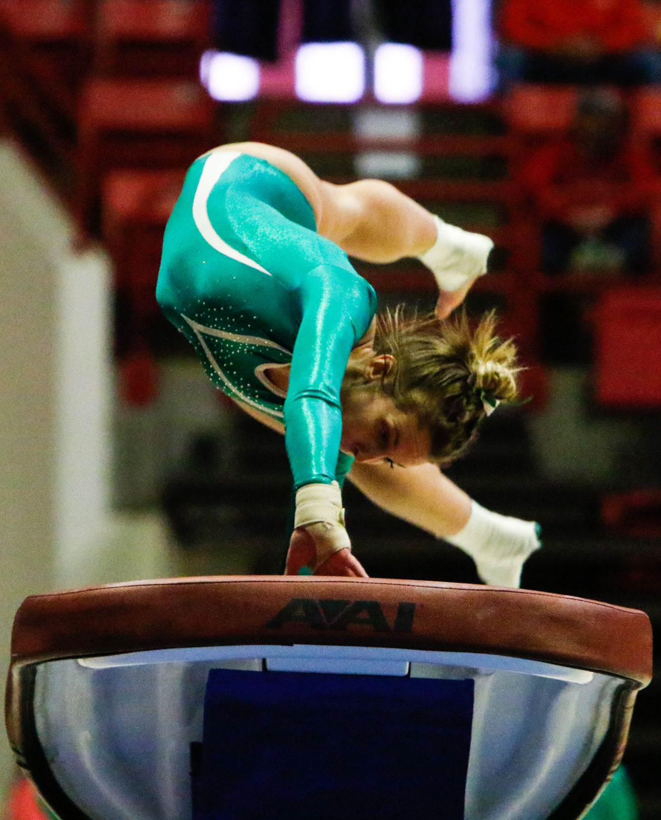 Gymnastics state finals